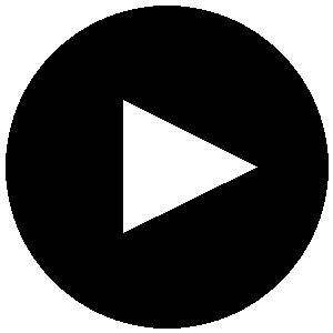 Play